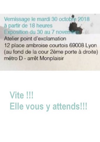 venrissage nora boudjemai